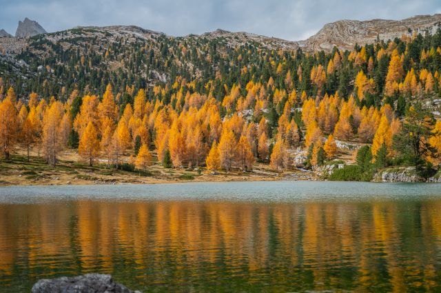 Immagine: Appartamenti Casa Sorapunt